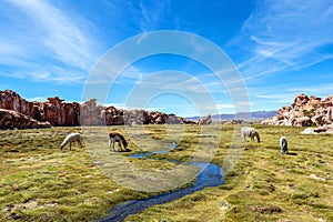 View of the Laguna Negra, Black lagoon Canyon with unique geological rock formations in Altiplano, Bolivia