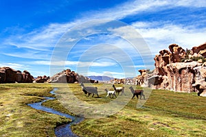 View of the Laguna Negra, Black lagoon Canyon with unique geological rock formations in Altiplano, Bolivia