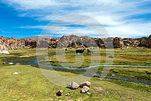 View of the Laguna Negra, Black lagoon Canyon with unique geological rock formations in Altiplano, Bolivia