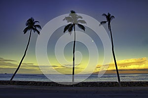 View from Lahaina out to the ocean, a palm tree, and Lanai.