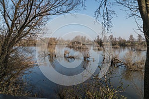 A view on a lake in the Blauwe Kamer in the Netherlands