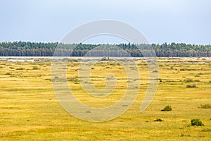 View of the lake and bogs landscapes photo