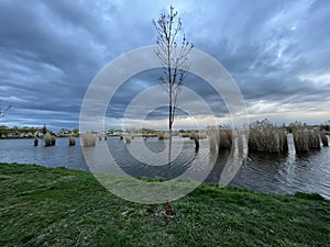 View of Lake Bujtosi in Hungary