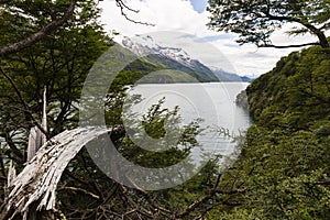 View of lake del Desierto from the woods photo