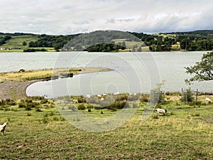 A view of the Lake District Countryside near Esthwaite Water