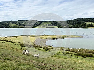 A view of the Lake District Countryside near Esthwaite Water