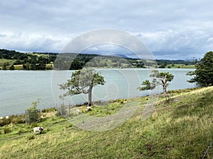 A view of the Lake District Countryside near Esthwaite Water