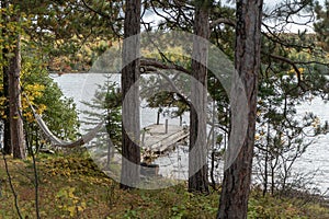 View of a lake dock through the pine trees of a forest