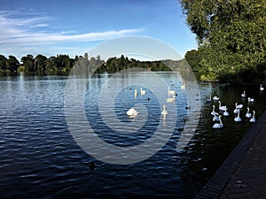 A view of the lake at Ellesmere