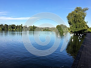 A view of the lake at Ellesmere