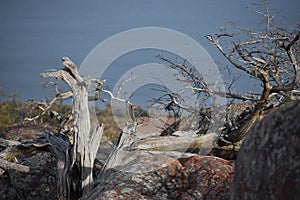 View of Lake Ellsworth over a boulder at Mt. Scott near Lawton Oklahoma.