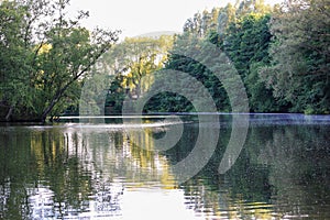 View of lake in forest in rural Germany in summer. No people.