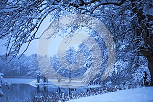 View of the lake through the frost-covered tree branches... Trakai, Lithuania.