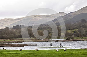 View of Lake Glencar, Leitrim, Ireland. Panorama