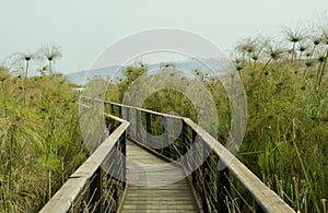 A view of Lake Hula. israel