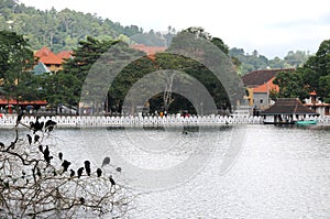 View of the lake in Kandy.