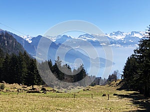 View of Lake Lucerne VierwaldstÃÂ¤tersee and Swiss Alps in the background from Rigi Mountain