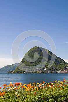 View of Lake Lugano and the Alpine mountains, flowers in the front.