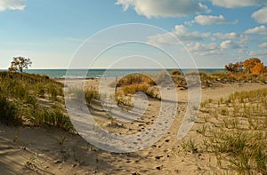 Warren Dunes State Park on Lake Michigan