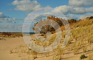 Warren Dunes State Park on Lake Michigan