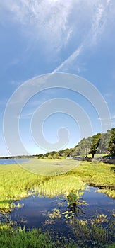 View of Lake Minneola during a summer day, Waterfront Park, Clermont, Florida