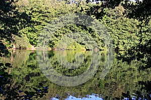 View of lake with mirror reflection in calm water and green trees in background