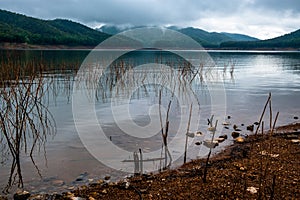 View of lake and mountains against cloudy gray sky before thunderstorm with dead pricky weed wood in the lake.
