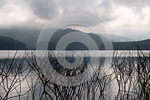 View of the lake and mountains with dead branches of pricky wood weed in the water under nimbus cloudy sky.