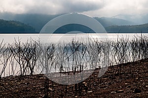 View of the lake and mountains with dead branches of pricky wood weed at the waterside on a cloudy day.