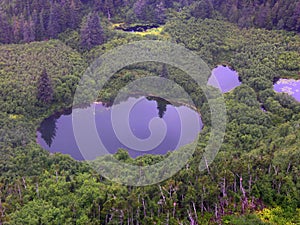 View of a lake from Mt Alyeska, Alaska