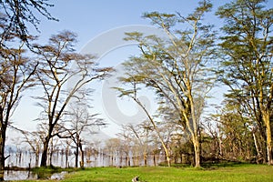 View at Lake Nakuru National Park