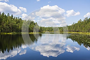 View of a lake in Nuuksio National Park in summer