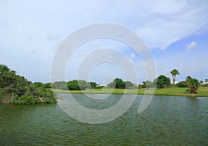 View of lake with palm trees and blue sky with white clouds on background. Aruba island.