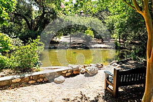 A view of the lake, park benches and the lush green trees at Descanso Gardens photo