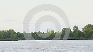 View of the lake or river. The ripples on the water. Forest on the opposite Bank