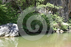 View of the lake shore of the lake and trees photo