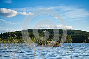 View of a lake in Smaland in Sweden. Blue water with light waves and reeds. Blue sky