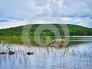 View of a lake in Smaland in Sweden. Blue water with light waves and reeds. Sky