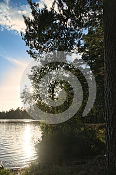 View of a lake in Smaland in Sweden. Sun rays break through the trees at the water