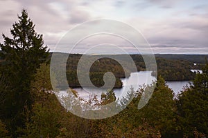 View of a lake. A small lake surrounded by forest.