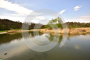 View on lake in spring time