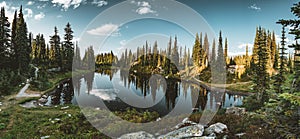 View from Lake on the summit of Mount Revelstoke across forest with blue sky and clouds. British Columbia Canada.