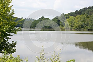 View of lake surrounded by forest
