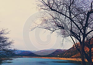 A view of lake surrounded by hills and leafless tree next to it