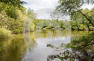 View of a lake surrounded by trees