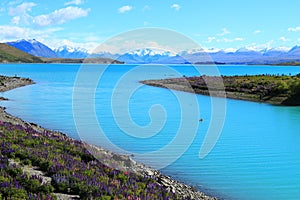 View of Lake Tekapo, New Zealand, South Island