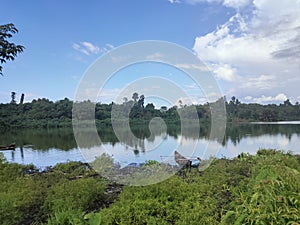 The view of Lake Toga is in the Toli-Toli Regency, Central Sulawesi Province, Indonesia