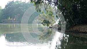 The view on the lake with the tree on the side and a little bit overexposed background.