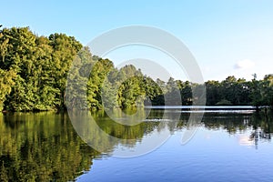 View of lake and trees in forest with mirror reflection in calm water surface and clear blue sky background