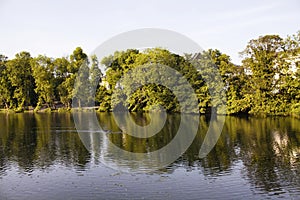 View of lake and trees photo
